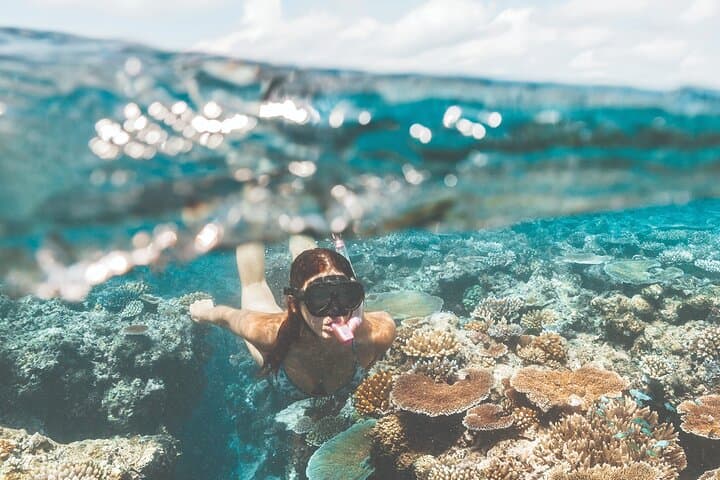 John Brewer Reef & MOUA Snorkeling Day Trip from Townsville: What to Expect photo 5