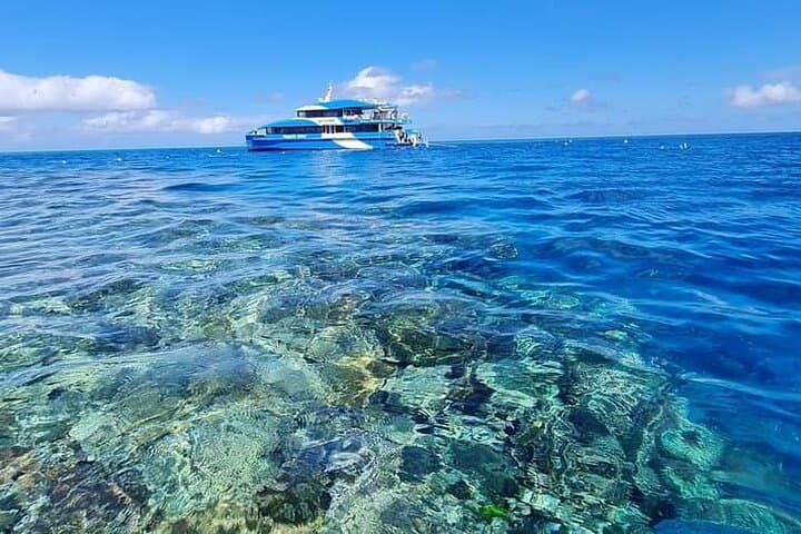 John Brewer Reef & MOUA Snorkeling Day Trip from Townsville: What to Expect photo 2