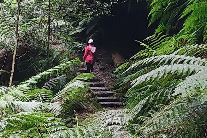 Private Day Tours from Sydney — Blue Mountains & South Coast Highlights photo 6