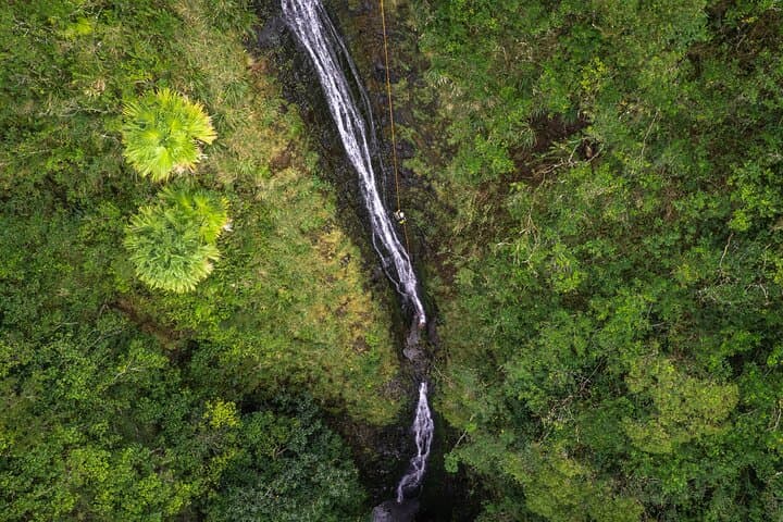 Oahu Waterfall Rappelling at Kaau Crater: Jungle Hike, Cliff Views, Cold Cascades photo 6