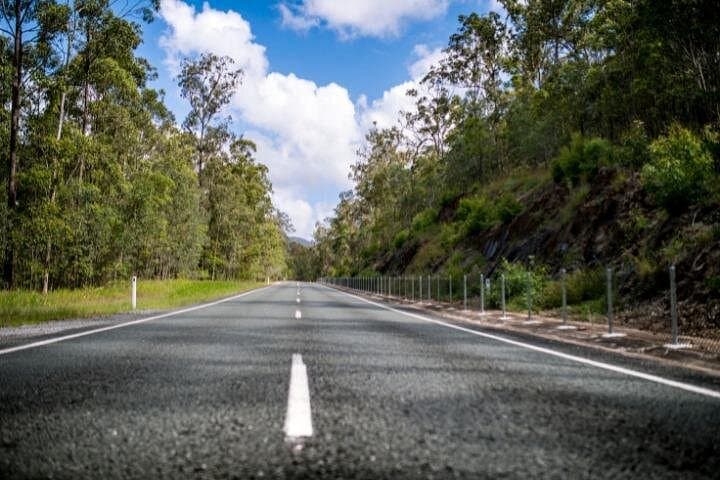 Self-Guided Driving Tour of Springbrook National Park — Waterfalls, Lookouts & Natural Bridge photo 3