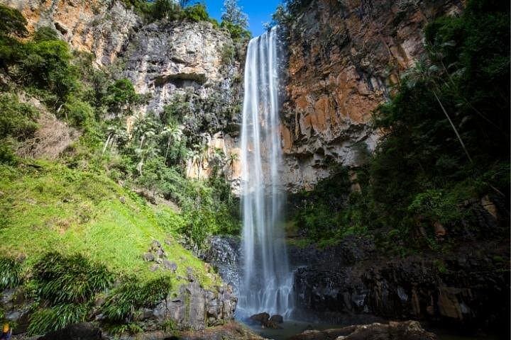 Self-Guided Driving Tour of Springbrook National Park — Waterfalls, Lookouts & Natural Bridge photo 4