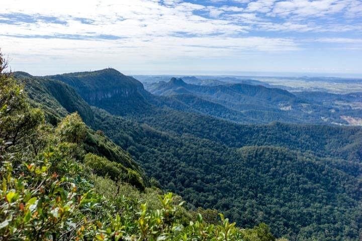 Self-Guided Driving Tour of Springbrook National Park — Waterfalls, Lookouts & Natural Bridge