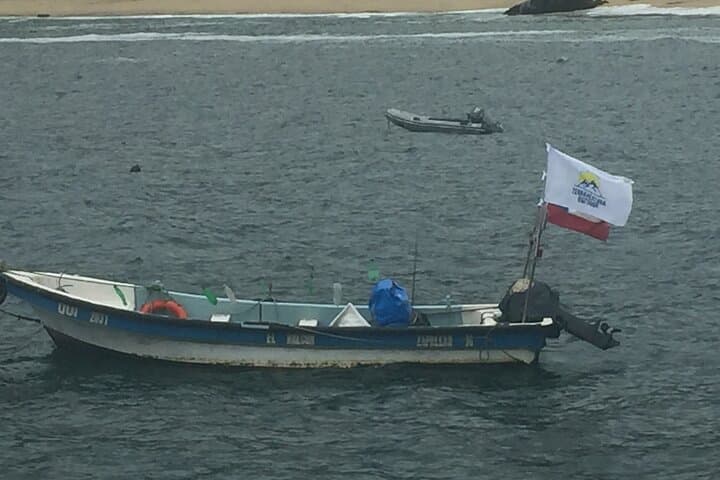 Private Cachagua Penguin Watching Tour from Valparaíso — Zapallar Boat Excursion photo 6