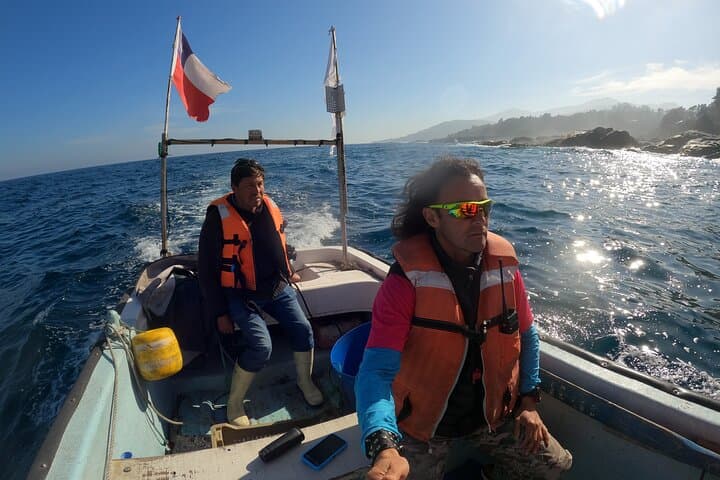 Private Cachagua Penguin Watching Tour from Valparaíso — Zapallar Boat Excursion photo 4