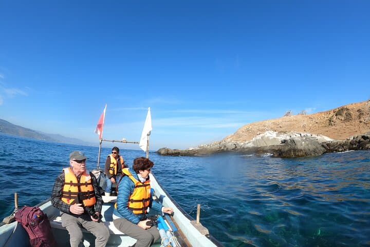 Private Cachagua Penguin Watching Tour from Valparaíso — Zapallar Boat Excursion