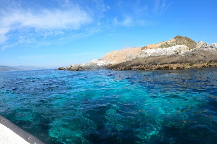 Penguin Watching and Horseback Riding in Cachagua — Private Day Trip from Valparaíso photo 2