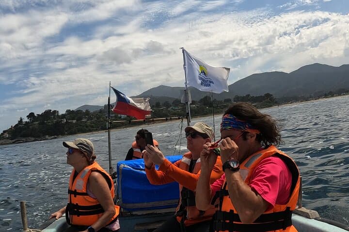 Private Cachagua Penguin-Watching Boat Tour from Santiago with Lunch