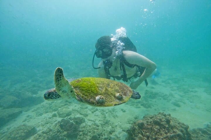 Full-Day Diving & Snorkeling from Abu Dhabi to Fujairah — Coral Reefs and Beach BBQ photo 2