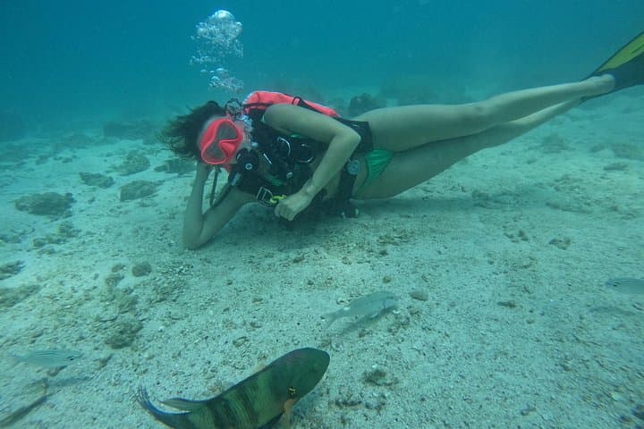Discover Scuba Diving and Snorkeling with BBQ Lunch in Fujairah photo 3