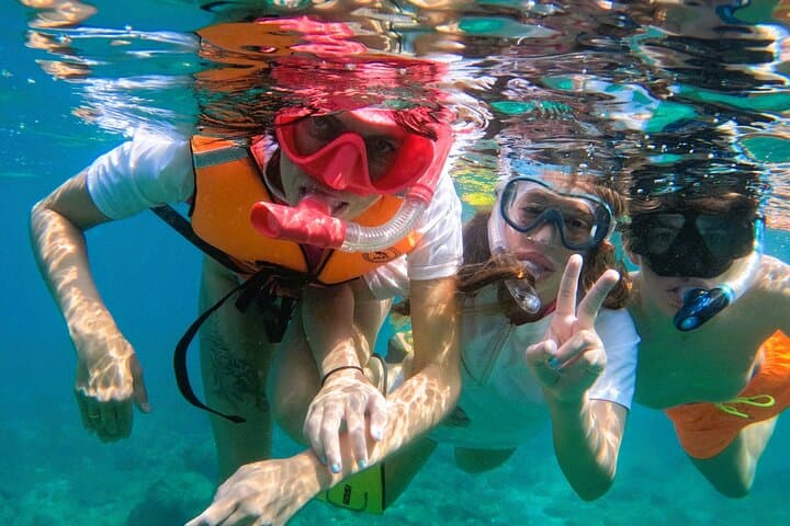 Snorkel with Turtles in Fujairah: Day Trip from Abu Dhabi with BBQ photo 4