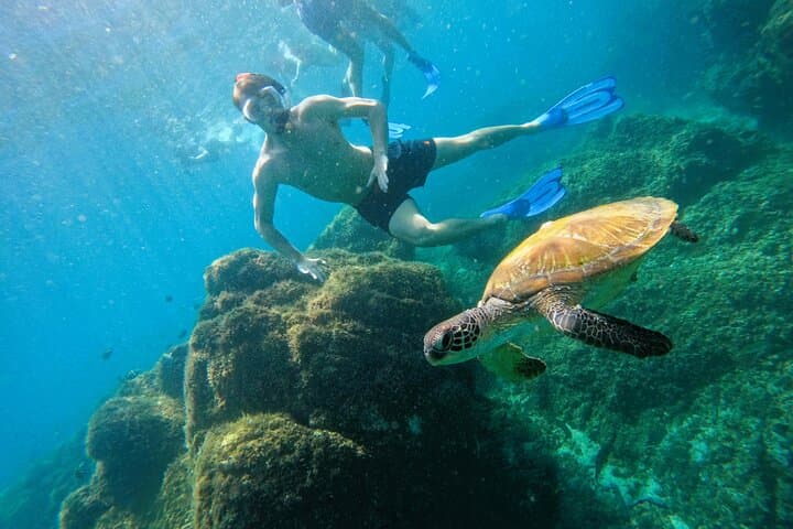 Snorkel with Turtles in Fujairah: Day Trip from Abu Dhabi with BBQ