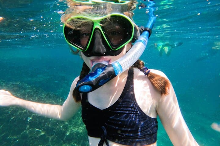 Snorkel with Turtles in Fujairah: Day Trip from Abu Dhabi with BBQ photo 6