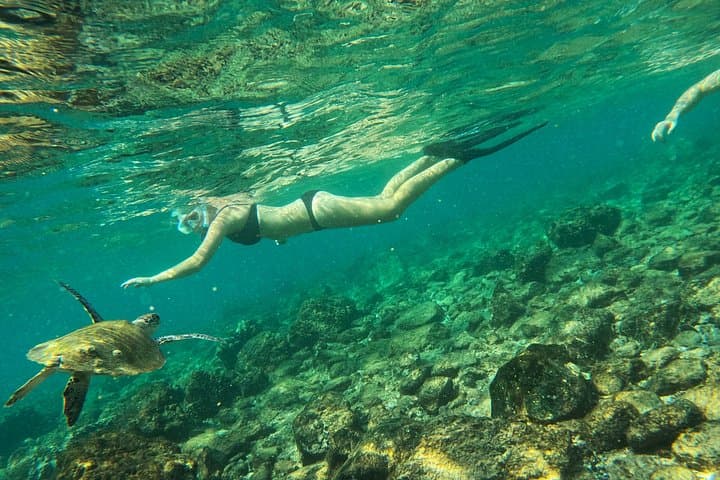 Snorkeling with Turtles at Snoopy Island, Fujairah — Half-Day Trip with BBQ Lunch photo 1