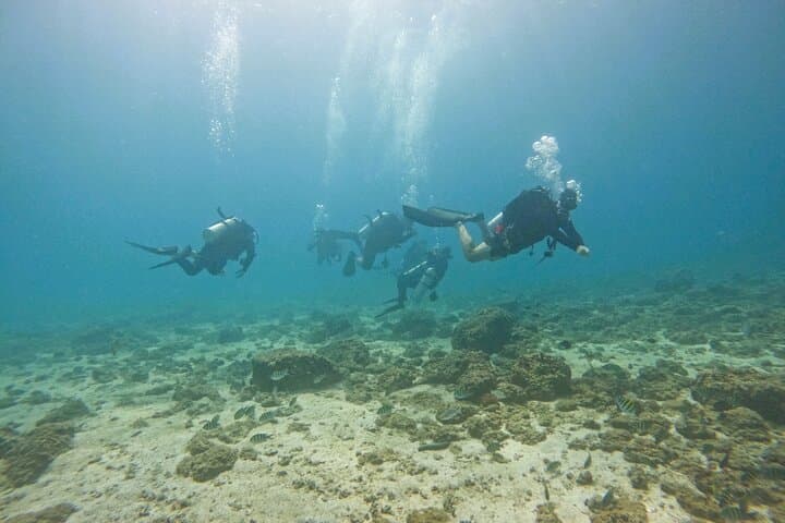 Fujairah Day Trip: Two Certified Boat Dives from Abu Dhabi