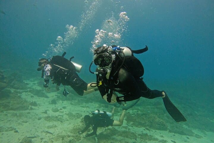 Dive and Stay Fujairah: 5-Dive Overnight Trip from Dubai with BBQ & Transfers photo 5