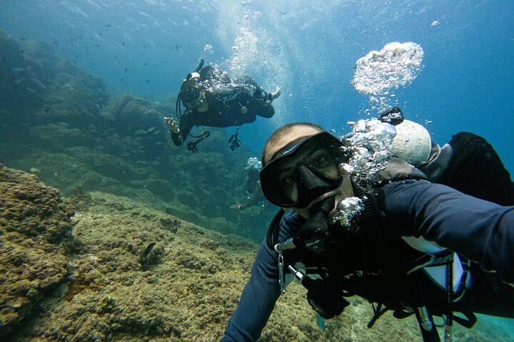 Two Guided Dives in Fujairah with BBQ Lunch and Transfer photo 6