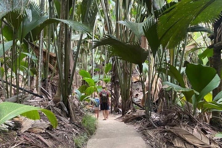 Praslin & La Digue Day Trip from Mahé — Beaches, Coco de Mer & La Digue Cycling photo 3
