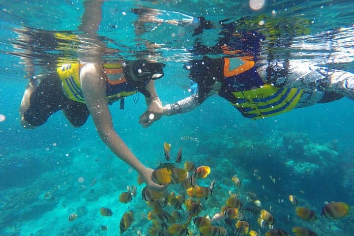 Snorkel with Manta Rays in Nusa Lembongan — Day Trip from Sanur photo 3