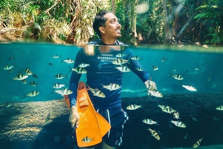 Kayak Klong Nam Sai: Krabi Freshwater Lagoons and Forest Swim photo 3
