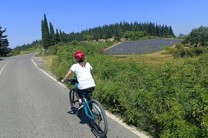 Chianti e-Bike Tour from Florence with Chianti Classico Wine Tasting photo 5