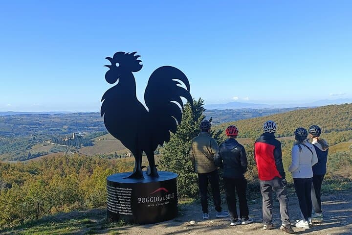 Chianti e-Bike Tour from Florence with Chianti Classico Wine Tasting photo 6