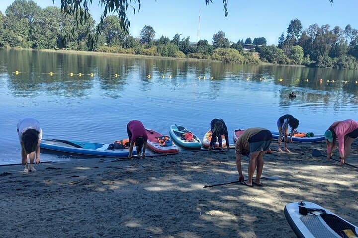 Stand-Up Paddle, SUP Yoga and Coastal Hike in Pichilemu — Paddle, Flow & Explore photo 6