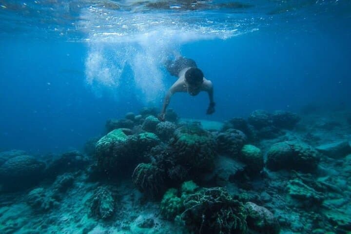 Red Sea Rush: Banana, Quatro & Butterfly Rides with Snorkel Stops in Sharm El-Sheikh photo 4
