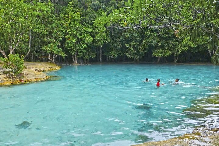 Krabi Jungle Tour — Emerald Pool, Hot Spring Waterfall & Tiger Cave Temple Day Trip photo 2