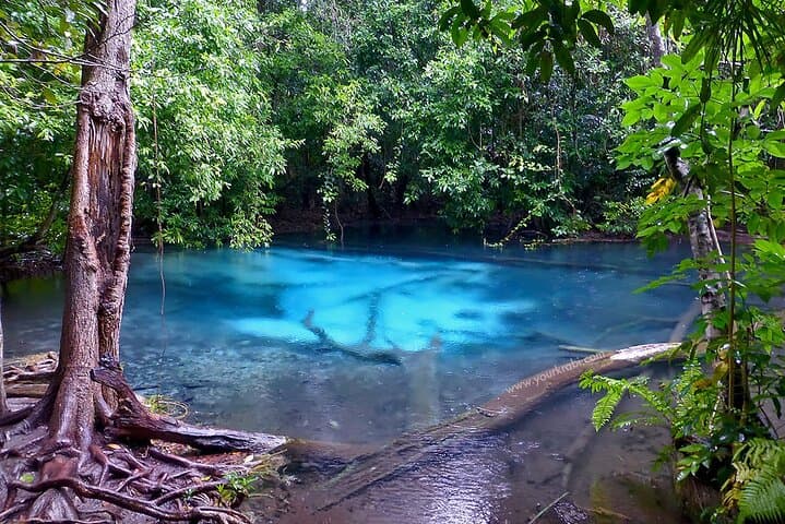 Krabi Jungle Tour — Emerald Pool, Hot Spring Waterfall & Tiger Cave Temple Day Trip
