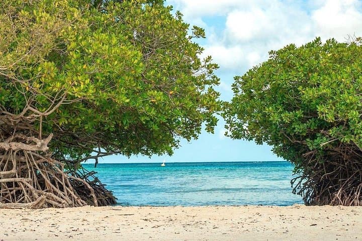 Try Scuba in Aruba: Shore Dives at Mangel Halto & Tres Trapi photo 2