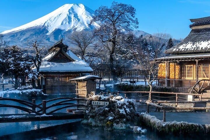 Full Day Private Tour: Mt Fuji & Hakone Highlights from Tokyo