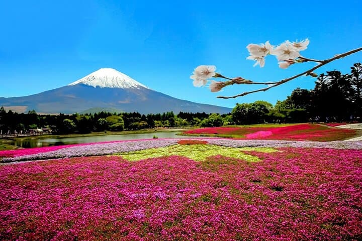 Full Day Private Tour: Mt Fuji & Hakone Highlights from Tokyo photo 2