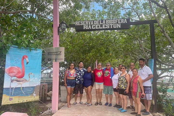 Celestún Mangrove Boat Tour: Flamingos, Mangrove Tunnels & Mayan Clay Baths photo 2