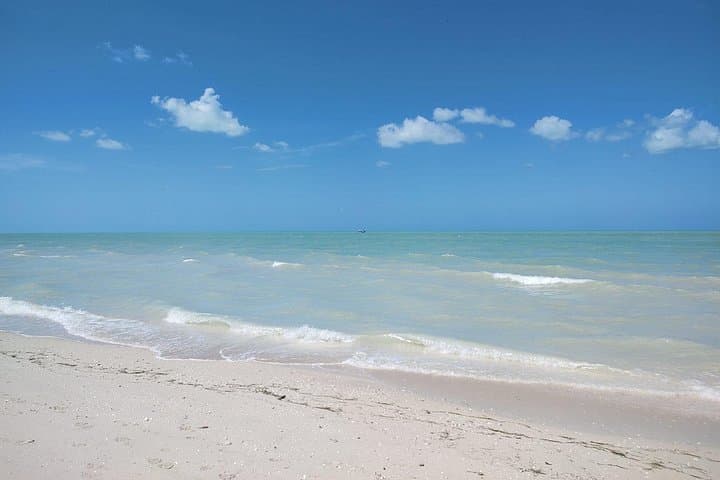 Celestún Mangrove Boat Tour: Flamingos, Mangrove Tunnels & Mayan Clay Baths photo 4