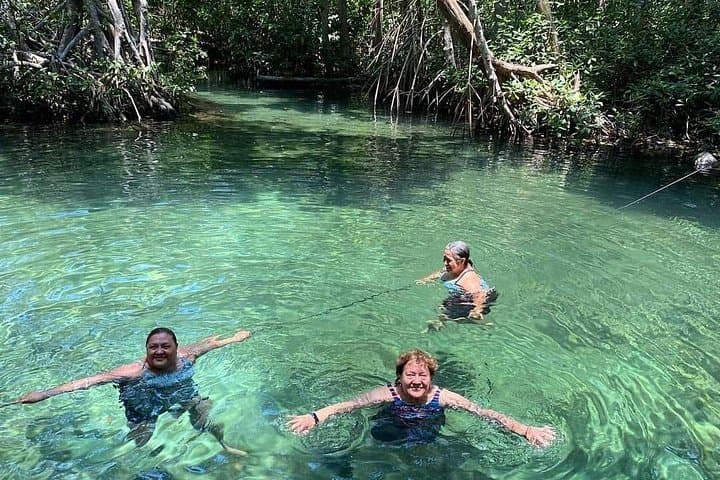 Celestún Mangrove Boat Tour: Flamingos, Mangrove Tunnels & Mayan Clay Baths photo 1