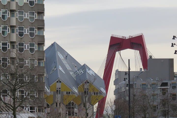 Private Walking Tour of Rotterdam: Local Guide to Markthal, Cube Houses & Erasmus Bridge photo 3