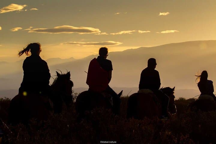 Mendoza Sunset Horseback Ride & Creole Asado in Lunlunta