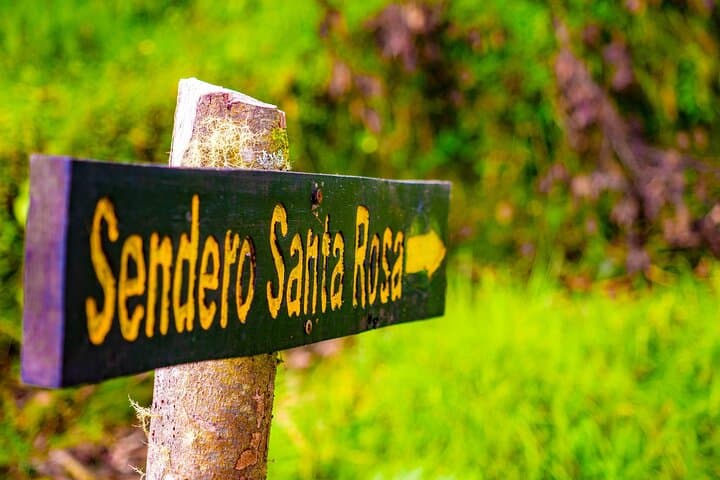 Iral Cloud Forest Day Pass: Trails, Wildlife & Lunch Near San José photo 2