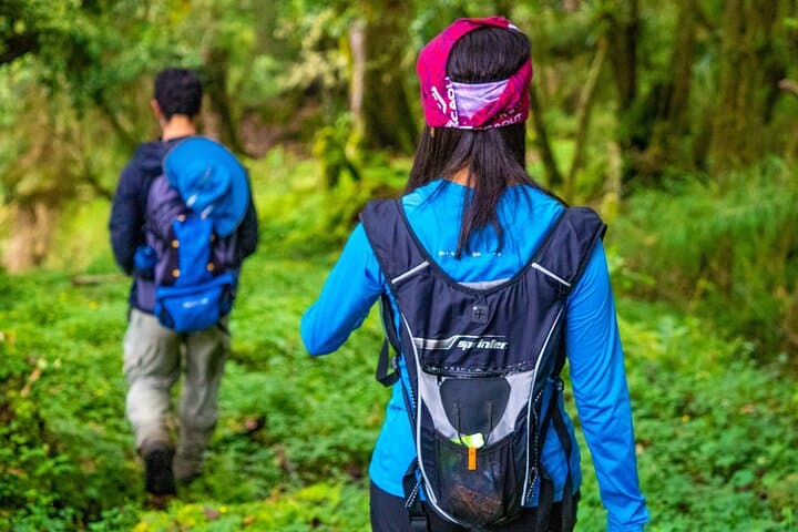 Iral Cloud Forest Day Pass: Trails, Wildlife & Lunch Near San José