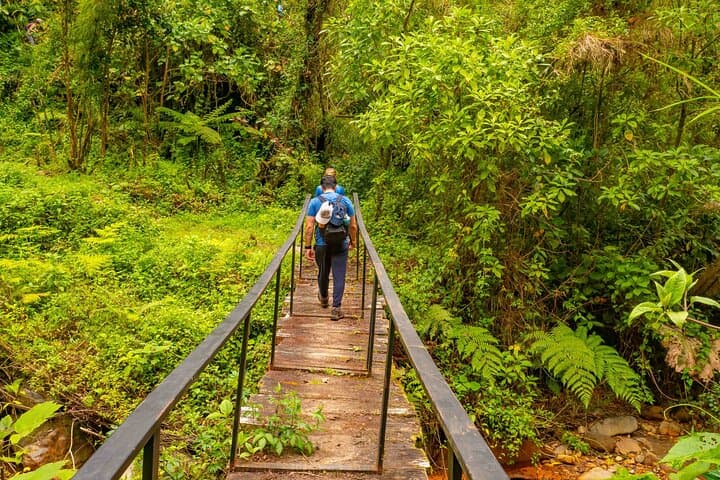 Iral Cloud Forest Day Pass: Trails, Wildlife & Lunch Near San José photo 3