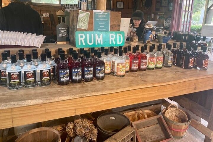 Lake Apopka Wildlife Drive Eco Tour — Lunch in Tavares and Moonshine Tasting in Yalaha photo 2