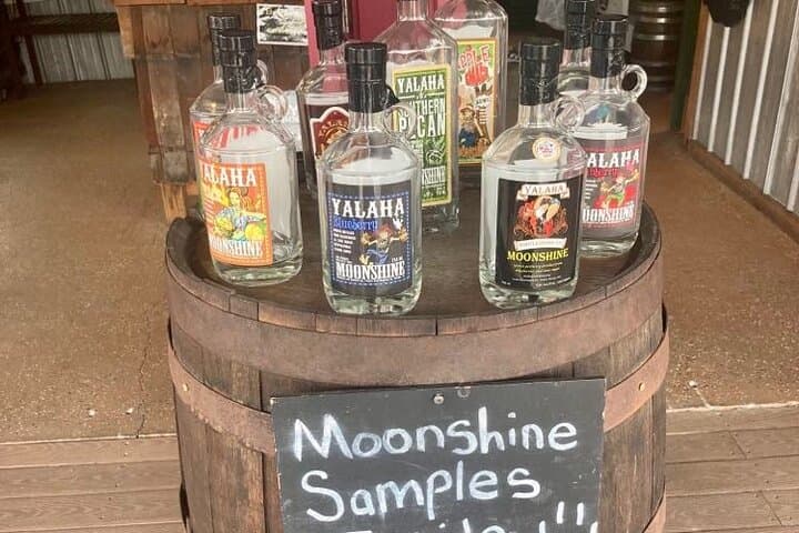 Lake Apopka Wildlife Drive Eco Tour — Lunch in Tavares and Moonshine Tasting in Yalaha photo 3