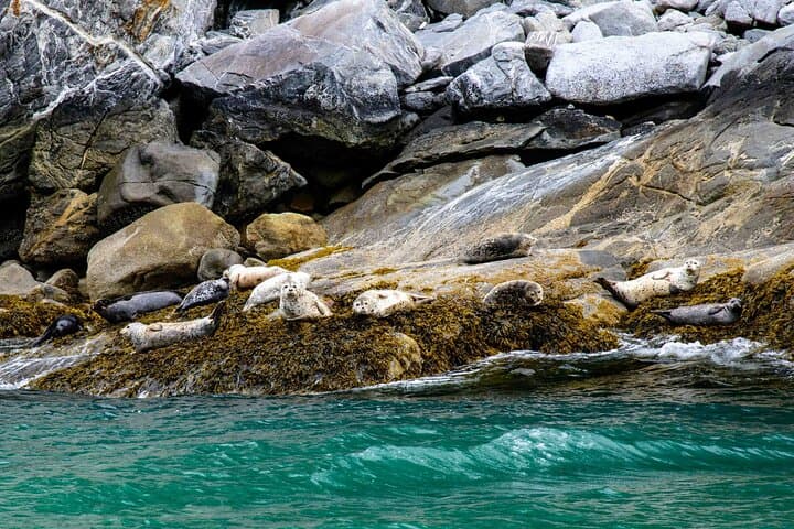 Glacier Point Wilderness Safari: Skagway Boat & Canoe Trip to Davidson Glacier photo 4