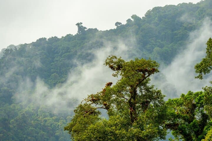 Laguna de Colores Hike: Private Guided Cloud-Forest Walk from San José photo 4
