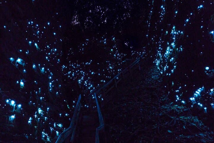 Waitomo Glowworm Caves Private Small-Group Tour from Auckland photo 3