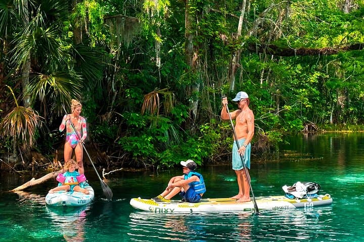 Paddle with Manatees at Silver Springs: Paddleboard & Kayak Wildlife Adventure