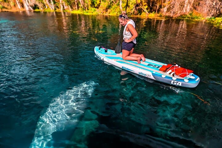 Paddle with Manatees at Silver Springs: Paddleboard & Kayak Wildlife Adventure photo 2