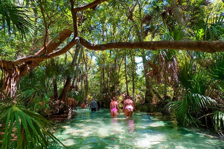 Rainbow Springs Paddle Board & Kayak Adventure on Rainbow River (Dunnellon, FL) photo 4
