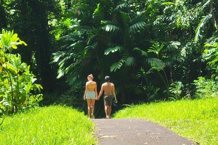 Road to Hana Full-Day Guided Tour from Maui photo 5